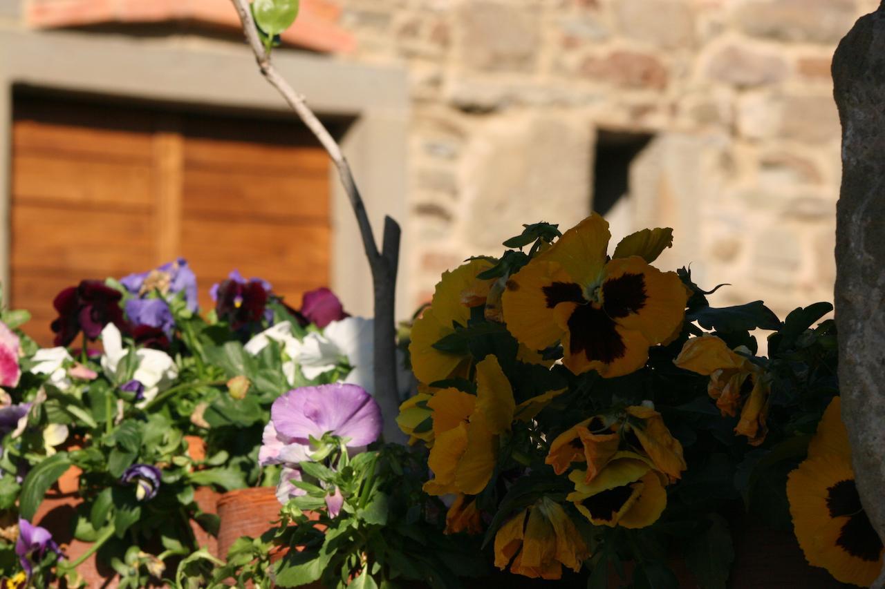 Serravalle  Podere Pian De' Cortini 빌라 외부 사진